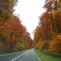 Foto de Bourglinster