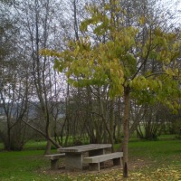 Foto de Arteixo