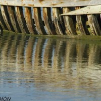 Foto de Barbate