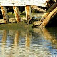 Foto de Barbate