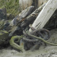 Foto de Barbate