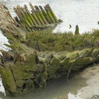 Foto de Barbate