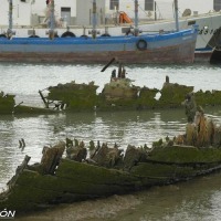 Foto de Barbate