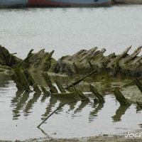 Foto de Barbate