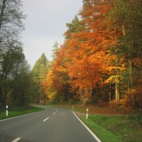 Foto de Saarburg