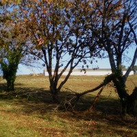 Foto de Bergondo