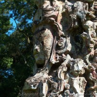 Foto de Copán