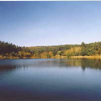 Foto de Pardiñas - Guitiriz