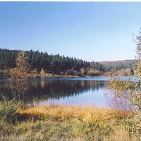 Foto de Pardiñas - Guitiriz