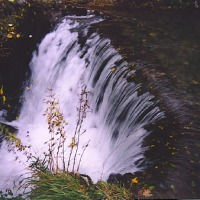 Foto de Ferramulin