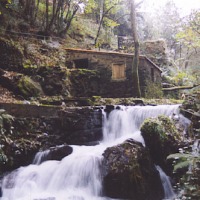 Foto de Carral