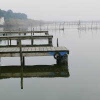 Foto de Valencia - Albufera