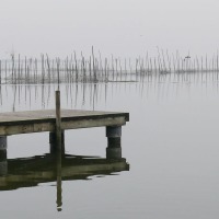 Foto de Valencia - Albufera