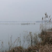 Foto de Valencia - Albufera