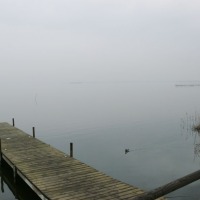 Foto de Valencia - Albufera