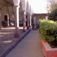 Foto de Pericos (Sinaloa)
