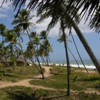 Foto de Arembepe (Salvador de bahia)