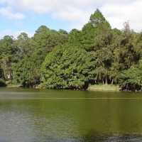 Foto de Santa Lucía