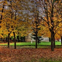 Foto de Palencia