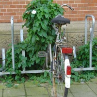 Foto de Amsterdam