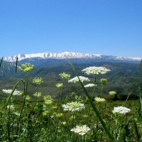 Foto de Akkar