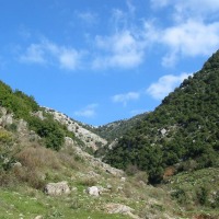 Foto de Akkar