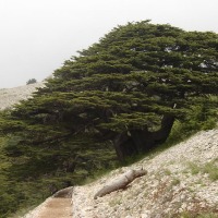 Foto de Barouck