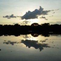 Foto de Apure