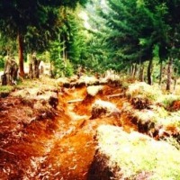 Foto de Abejorral (Antioquia)