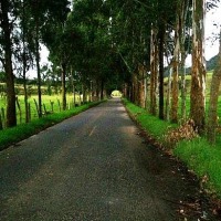 Foto de Belmira, Antioquia