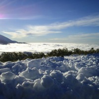 Foto de Las Cañadas del Teide - Tenerife