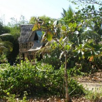 Foto de Arembepe (Salvador de Bahia)