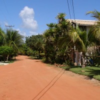 Foto de Praia do forte (salvador de bahia)