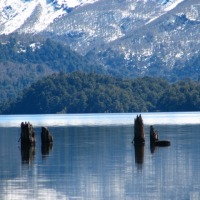 Foto de Parque Nacional Lanin