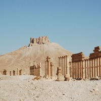 Foto de Palmira