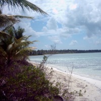 Foto de La Romana