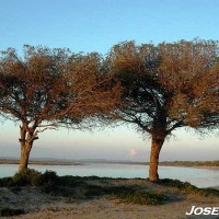Foto de Puerto Real