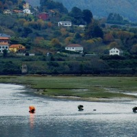 Foto de Pontedeume