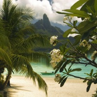 Foto de Bora bora