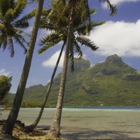 Foto de Bora bora