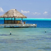 Foto de Bora bora