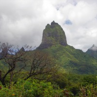 Foto de Moorea
