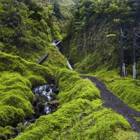 Foto de Tahiti