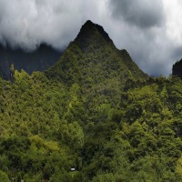 Foto de Tahiti