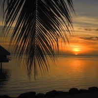 Foto de Tahiti