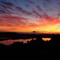 Foto de Chepu (Chiloé)