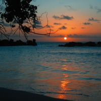 Foto de Praslin