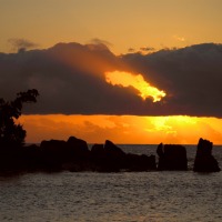 Foto de Praslin