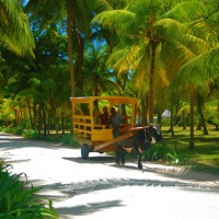 Foto de La Digue