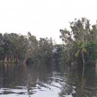 Foto de Guamá